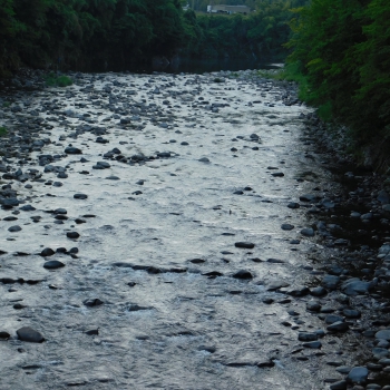 DSCN0375.JPG