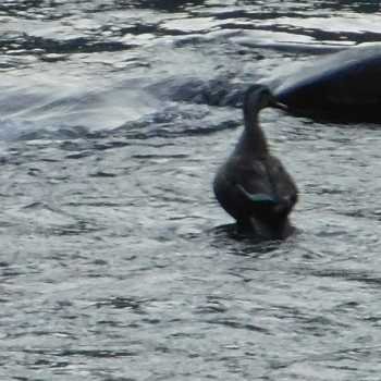 DSCN0380.JPG