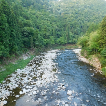 DSCN0381.JPG