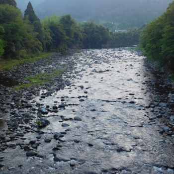 DSCN0383.JPG
