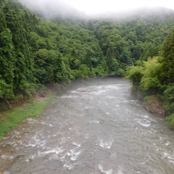 DSCN0393.JPG