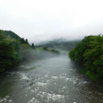 DSCN0396.JPG