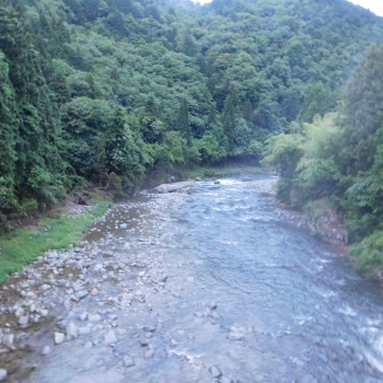 DSCN0403.JPG