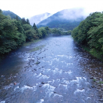 DSCN0406.JPG