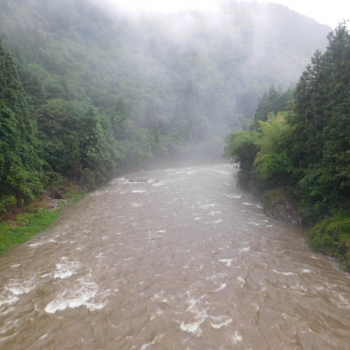 DSCN0449.JPG