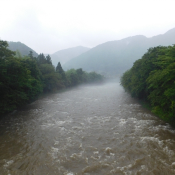DSCN0452.JPG