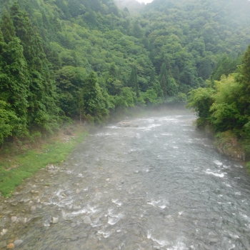 DSCN0467.JPG