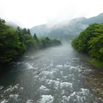 DSCN0470.JPG