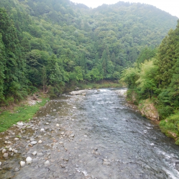 DSCN0480.JPG