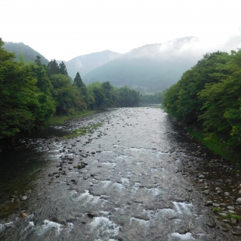 DSCN0483.JPG