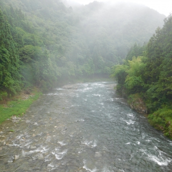 DSCN0484.JPG