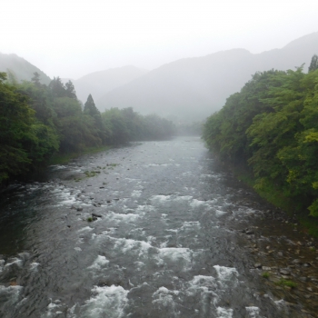 DSCN0487.JPG