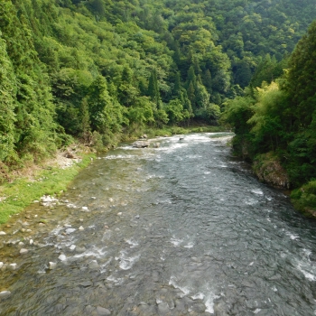 DSCN0488.JPG