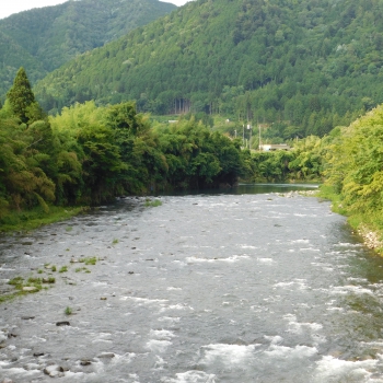 DSCN0490.JPG