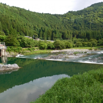 DSCN0496.JPG