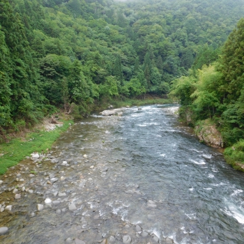 DSCN0497.JPG