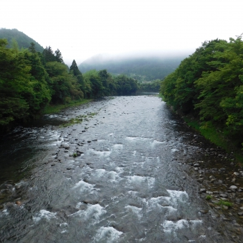 DSCN0500.JPG
