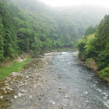 DSCN0501.JPG
