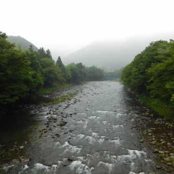 DSCN0504.JPG
