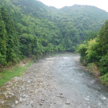 DSCN0505.JPG