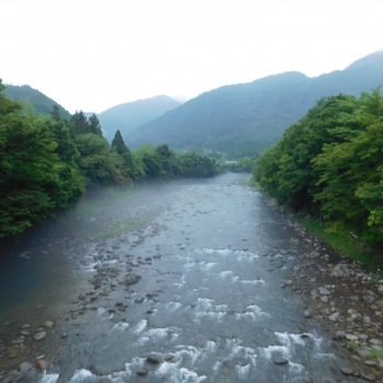 DSCN0508.JPG