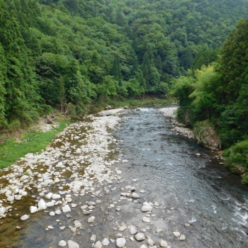 DSCN0509.JPG