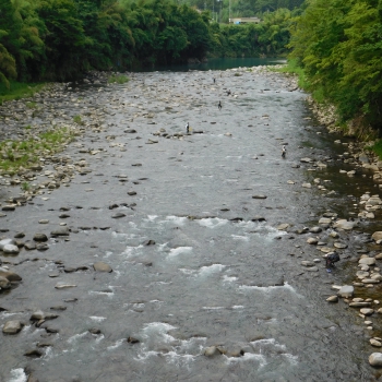 DSCN0511.JPG