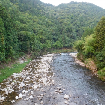 DSCN0517.JPG