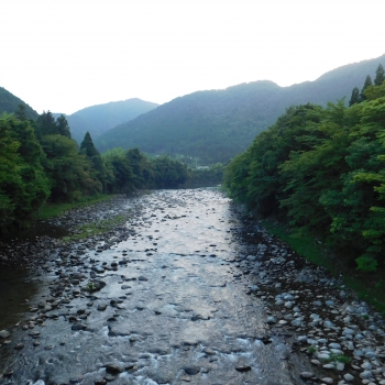DSCN0521.JPG
