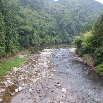 DSCN0524.JPG