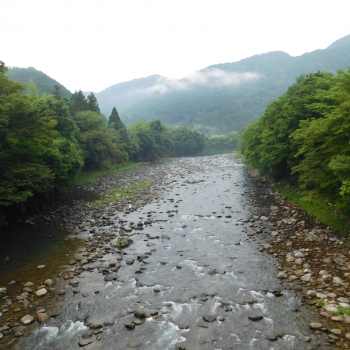 DSCN0527.JPG