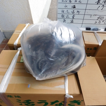 DSCN0544.JPG