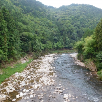 DSCN0545.JPG