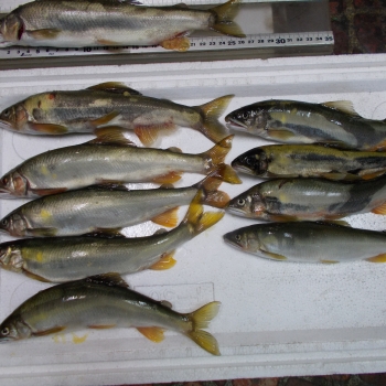 DSCN0547.JPG