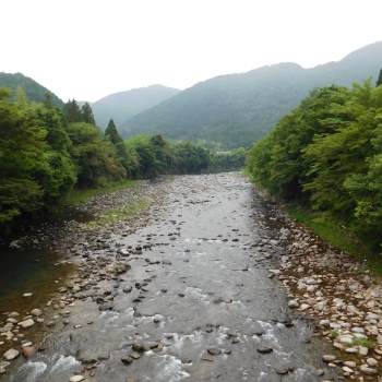 DSCN0548.JPG
