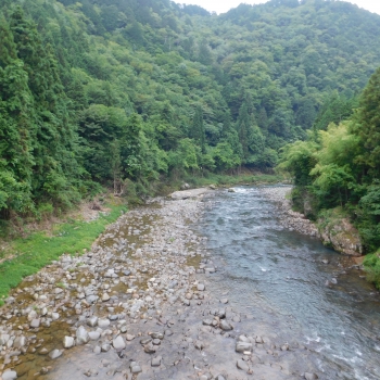 DSCN0549.JPG