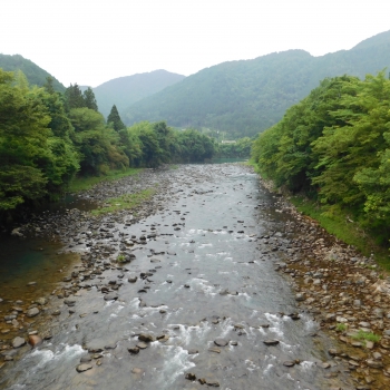 DSCN0552.JPG