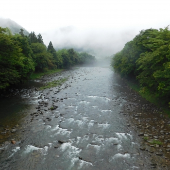 DSCN0556.JPG