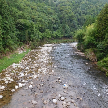 DSCN0557.JPG
