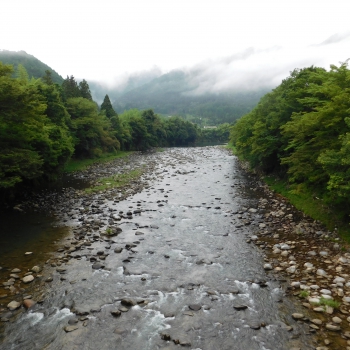 DSCN0560.JPG