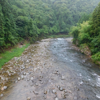 DSCN0561.JPG