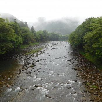 DSCN0564.JPG
