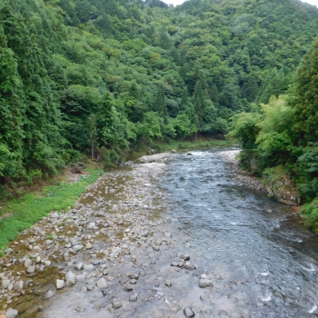 DSCN0565.JPG