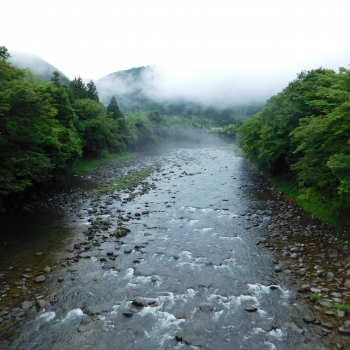 DSCN0568.JPG
