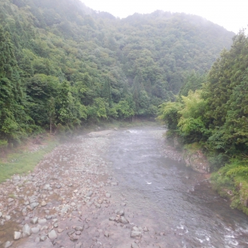 DSCN0569.JPG