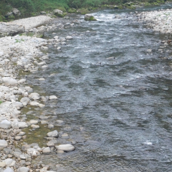 DSCN0574.JPG