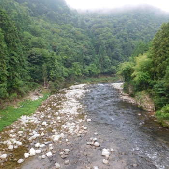 DSCN0578.JPG