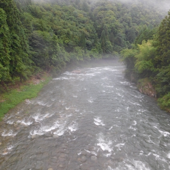 DSCN0582.JPG