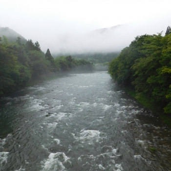 DSCN0585.JPG