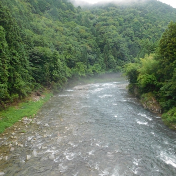 DSCN0586.JPG